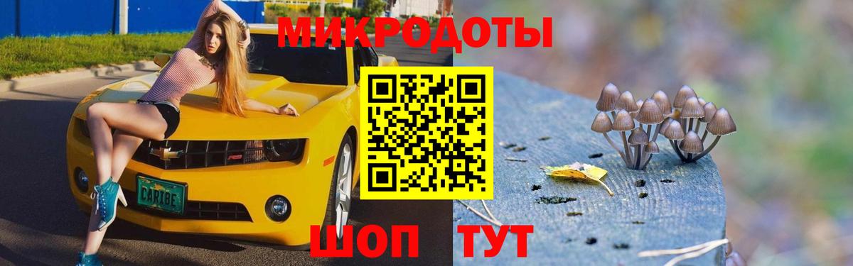 Псилоцибиновые грибы Cubensis  Вход с VPN  Псилоцибиновые грибы GOLDEN TEACHER  Котлас 